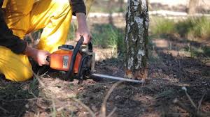 Leaf Removal in Waukee, IA